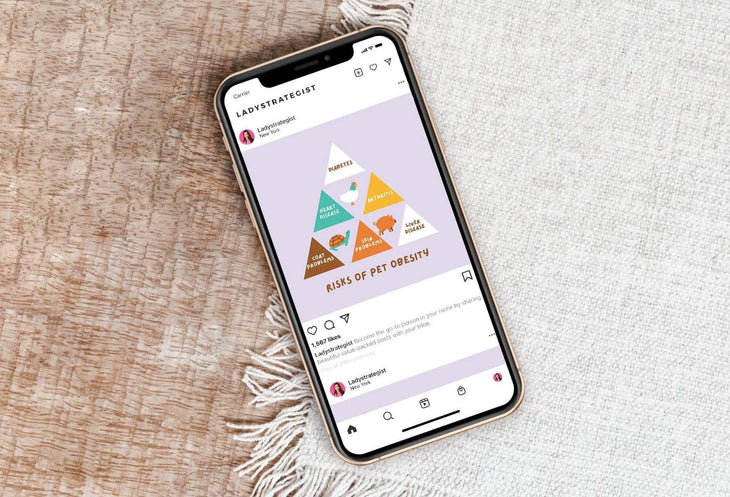 Ladystrategist 20 Pets Lists Instagram Posts - Fully Editable Canva Templates instagram canva templates social media templates etsy free canva templates