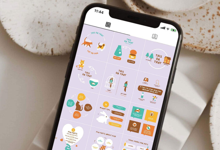 Ladystrategist 20 Pets Lists Instagram Posts - Fully Editable Canva Templates instagram canva templates social media templates etsy free canva templates