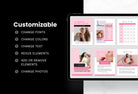 Ladystrategist 25 Page Nutrition Recipe Ebook Flamingo Editable Canva Templates instagram canva templates social media templates etsy free canva templates