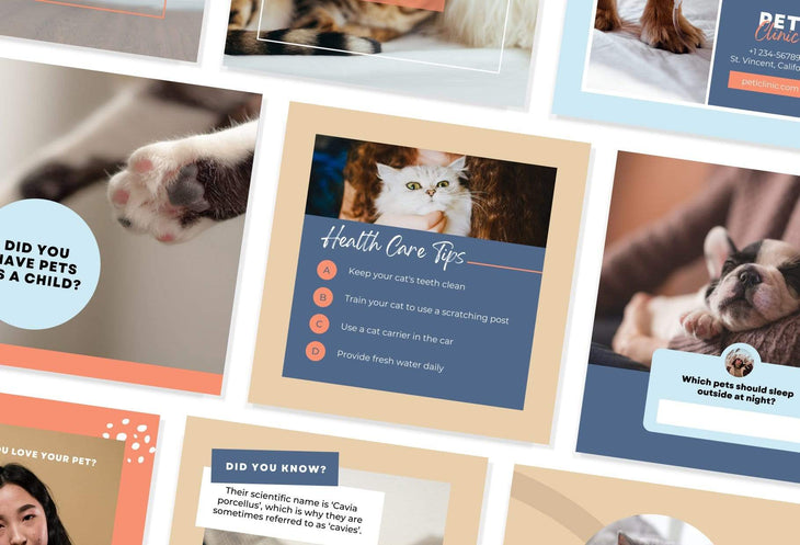 Ladystrategist 30 Pets Instagram Post Canva Templates instagram canva templates social media templates etsy free canva templates