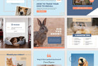 Ladystrategist 30 Pets Instagram Post Canva Templates instagram canva templates social media templates etsy free canva templates