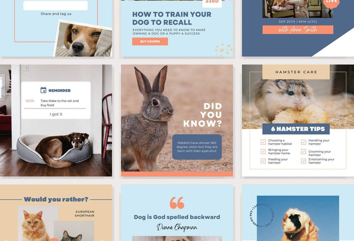 Ladystrategist 30 Pets Instagram Post Canva Templates instagram canva templates social media templates etsy free canva templates