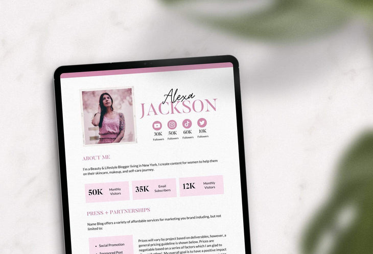 Ladystrategist Alexa Jackson Media Kit Canva Template for Influencers Rose Gold instagram canva templates social media templates etsy free canva templates