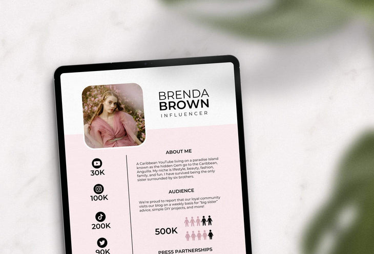 Ladystrategist Brenda Brown Media Kit Canva Template for Influencers instagram canva templates social media templates etsy free canva templates