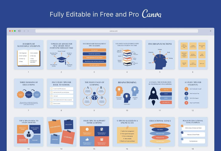 Ladystrategist 20 Education Tips and Infographics - Instagram Engagement Posts - Fully Editable Canva Templates instagram canva templates social media templates etsy free canva templates