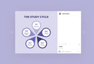 Ladystrategist 20 Education Tips and Infographics Instagram Engagement Posts Fully Editable Canva Templates V2 instagram canva templates social media templates etsy free canva templates