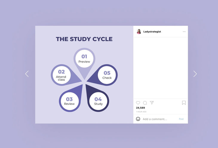 Ladystrategist 20 Education Tips and Infographics Instagram Engagement Posts Fully Editable Canva Templates V2 instagram canva templates social media templates etsy free canva templates