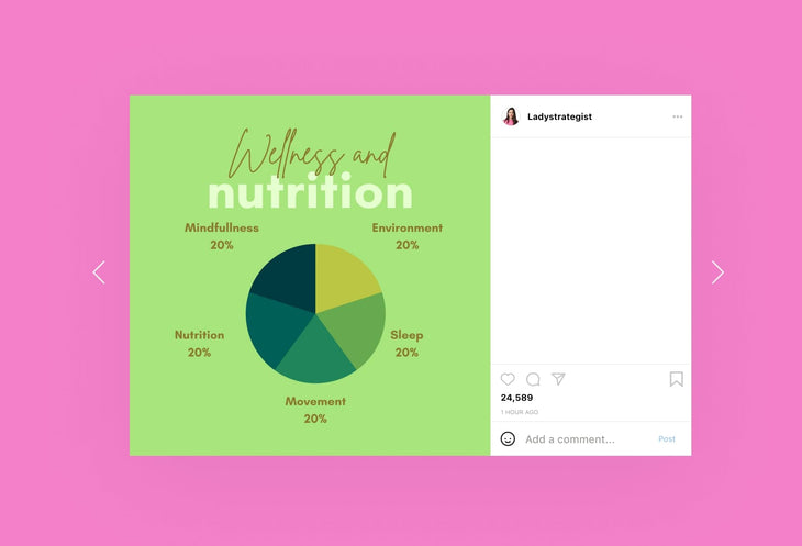 Ladystrategist 20 Nutrition Infographics Instagram Posts Fully Editable Canva Templates V2 instagram canva templates social media templates etsy free canva templates