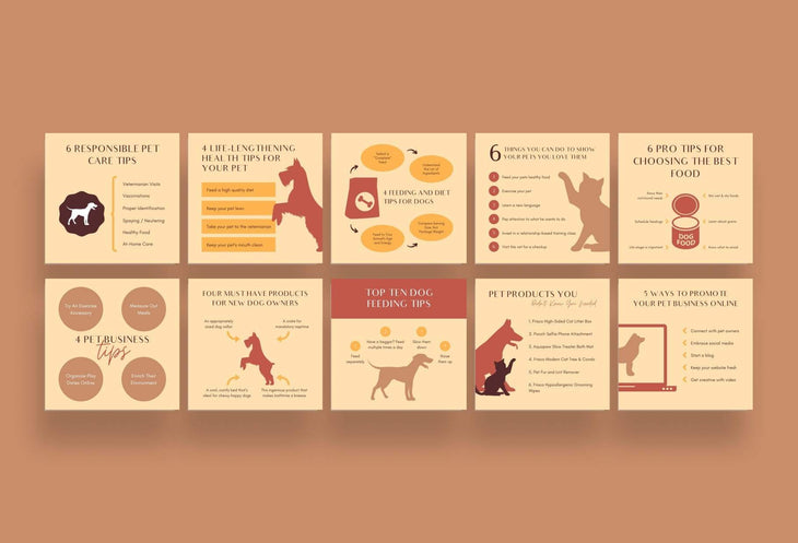 Ladystrategist 20 Pet Business Tips and Infographics - Instagram Engagement Posts - Fully Editable Canva Templates instagram canva templates social media templates etsy free canva templates
