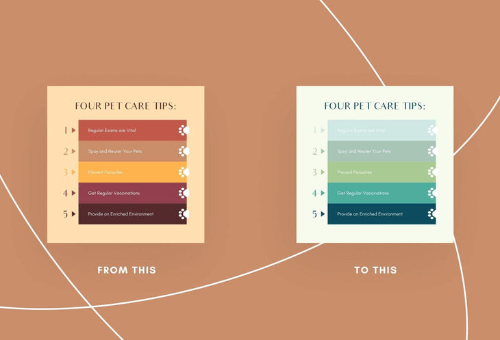 Ladystrategist 20 Pets Business Tips and Infographics - Instagram Engagement Posts - Fully Editable Canva Templates instagram canva templates social media templates etsy free canva templates