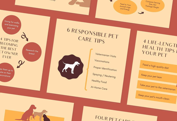 Ladystrategist 20 Pets Business Tips and Infographics - Instagram Engagement Posts - Fully Editable Canva Templates instagram canva templates social media templates etsy free canva templates