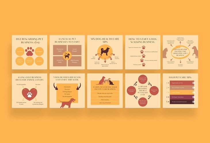 Ladystrategist 20 Pets Business Tips and Infographics - Instagram Engagement Posts - Fully Editable Canva Templates instagram canva templates social media templates etsy free canva templates
