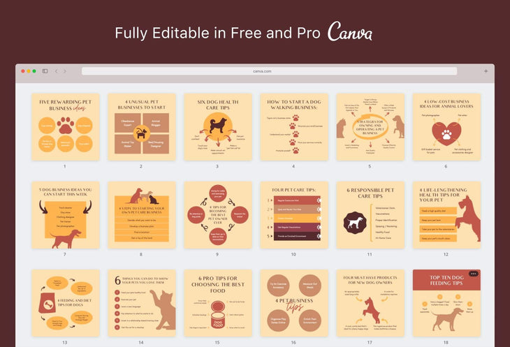 Ladystrategist 20 Pets Business Tips and Infographics - Instagram Engagement Posts - Fully Editable Canva Templates instagram canva templates social media templates etsy free canva templates