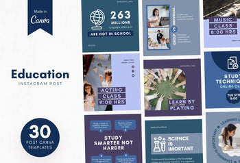Ladystrategist 30 Education Instagram Post Canva Templates V2 instagram canva templates social media templates etsy free canva templates