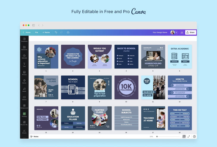 Ladystrategist 30 Education Instagram Post Canva Templates V2 instagram canva templates social media templates etsy free canva templates