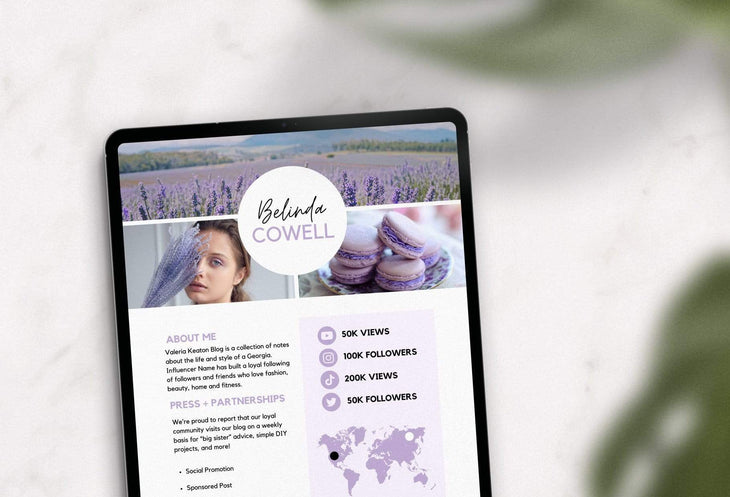 Ladystrategist Belinda Cowell Media Kit Canva Template for Influencers Rose Gold instagram canva templates social media templates etsy free canva templates