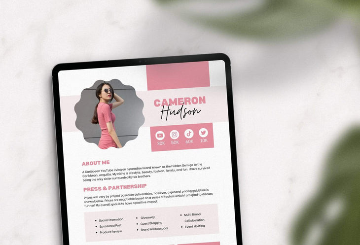 Ladystrategist Cameron Hudson Media Kit Canva Template for Influencers instagram canva templates social media templates etsy free canva templates