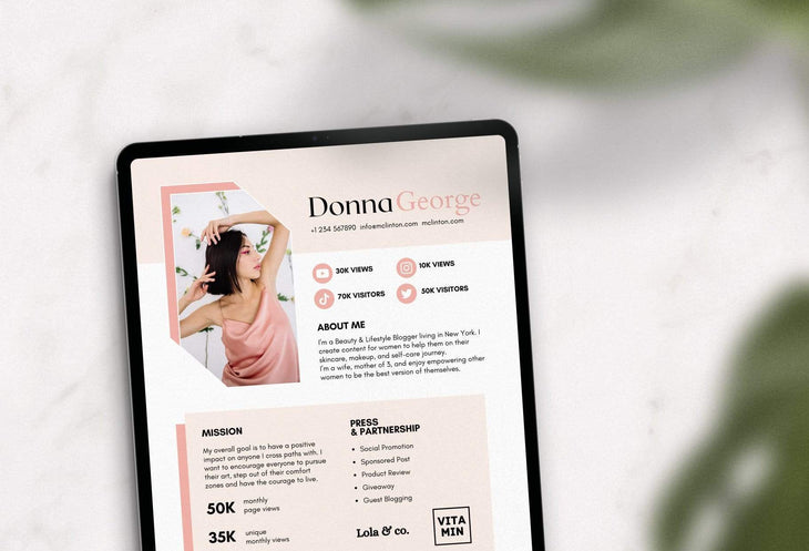 Ladystrategist Donna George Media Kit Canva Template for Influencers instagram canva templates social media templates etsy free canva templates
