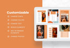 Ladystrategist Eleanor Lead Magnet Editable Canva Template instagram canva templates social media templates etsy free canva templates