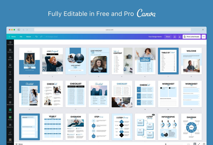 Ladystrategist Kylie Lead Magnet Editable Canva Template instagram canva templates social media templates etsy free canva templates