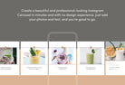 Ladystrategist Layla Food and Nutrition 6-Page Carousel Canva Template instagram canva templates social media templates etsy free canva templates