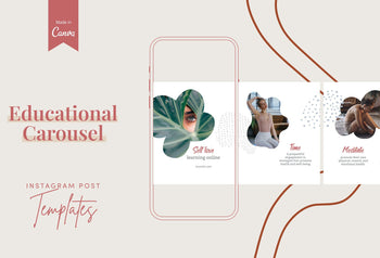 Ladystrategist Lilian Educational 6-Page Carousel Canva Template instagram canva templates social media templates etsy free canva templates