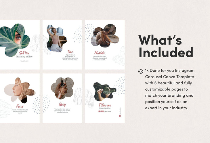 Ladystrategist Lilian Educational 6-Page Carousel Canva Template instagram canva templates social media templates etsy free canva templates