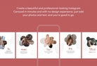 Ladystrategist Lilian Educational 6-Page Carousel Canva Template instagram canva templates social media templates etsy free canva templates