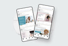 Ladystrategist Linkedin Posts for Coaches instagram canva templates social media templates etsy free canva templates