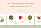 Ladystrategist Mila Food and Nutrition 6-Page Carousel Canva Template instagram canva templates social media templates etsy free canva templates