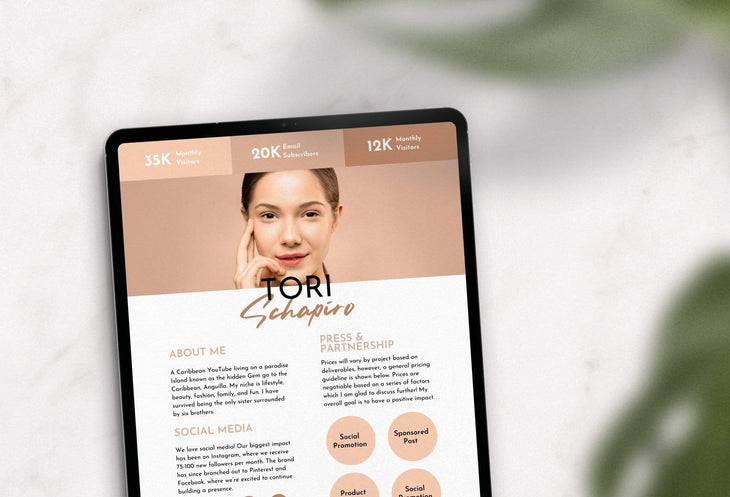 Ladystrategist Tori Schapito Media Kit Canva Template for Influencers instagram canva templates social media templates etsy free canva templates