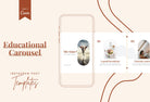 Ladystrategist Willow Educational 6-Page Carousel Canva Template instagram canva templates social media templates etsy free canva templates